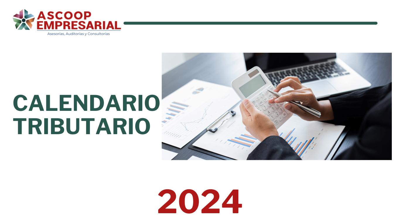 Portafolio 2025